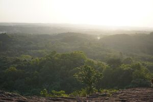 43446-vellanikkal para.jpeg