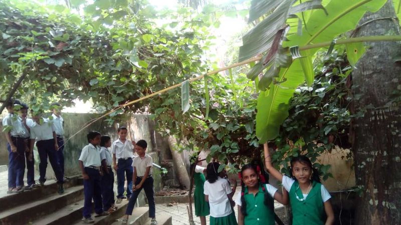 പ്രമാണം:44050 115.jpg