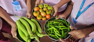 47037 ORGANIC FARMING 4.jpg