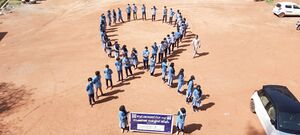 47110 21.jpeg.jpeg.jpeg