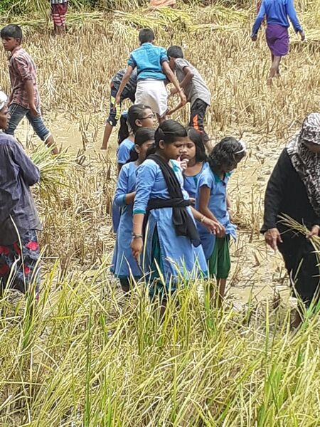 പ്രമാണം:48538 4.jpg