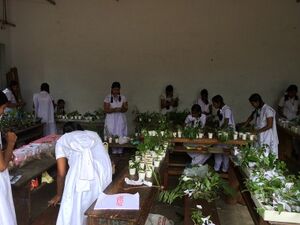 Cleaning 15 35052 (2).jpg