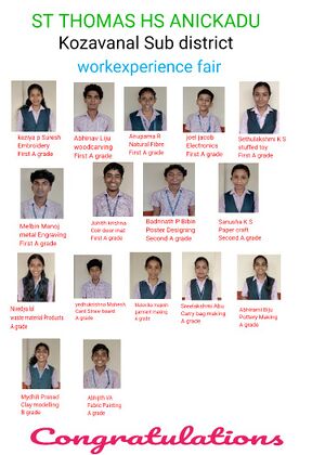 Work experience sths.jpeg