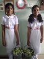 13:28, 10 നവംബർ 2023-ലെ പതിപ്പിന്റെ ലഘുചിത്രം