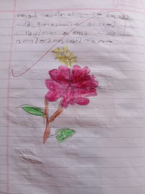 11054-KGD-KUNJ-NIBA FILSA.jpg