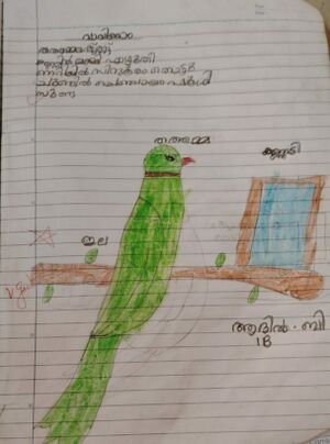 12248-KGD-KUNJ-adhil .jpg