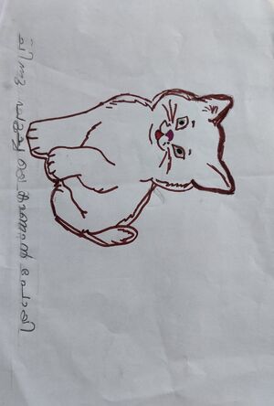 13464- KNR- KUNJ- JEROME.jpg