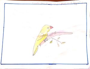 13966-KNR-KUNJ-ANVITH E,CLASS1.jpg