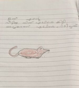 15212-WYD-KUNJ-ANWARA1 1A.jpeg