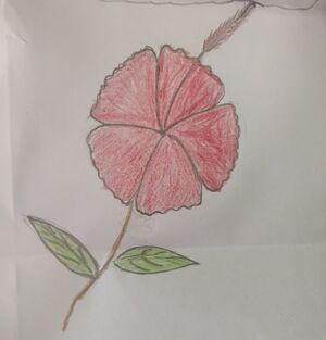 15380-WYD-KUNJ-Muhammed Raihan K.S.jpg