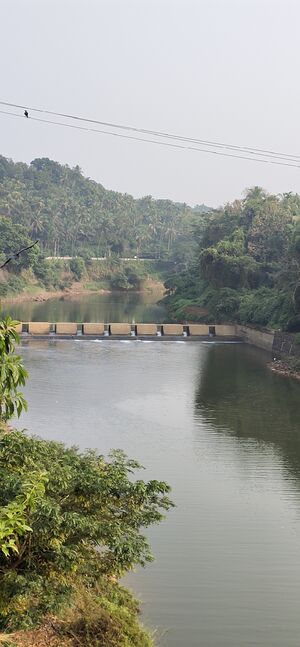 18092 chamakkayam thadayana.jpg