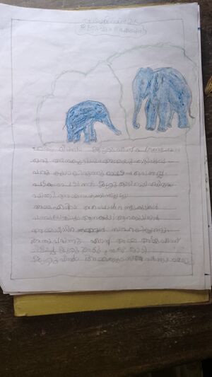 19417-MLP-KUNJ-ADILA JABIN .jpg