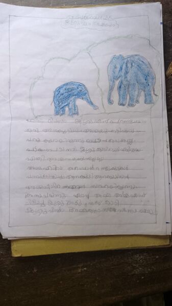 പ്രമാണം:19417-MLP-KUNJ-ADILA JABIN .jpg