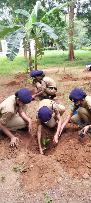 21068 spc enviornment2.jpeg