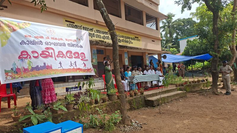 പ്രമാണം:21706 kappil02.jpg