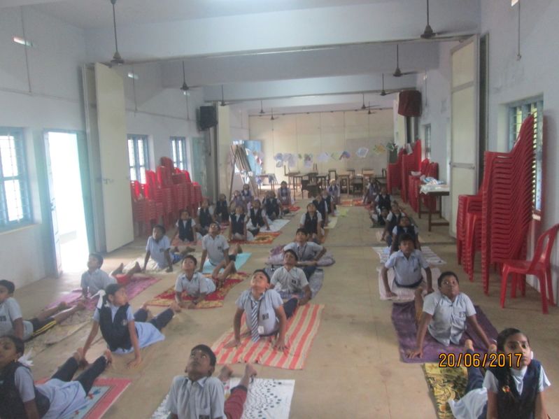 പ്രമാണം:24071 YO7.JPG