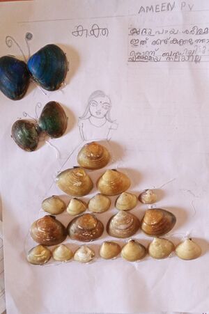 24412-TSR-KUNJ-AMEEN P V.jpg