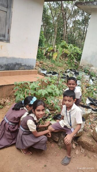 പ്രമാണം:28419 hitech project jpg 3.jpg