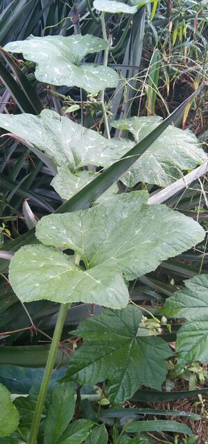 29312 environmentclub30.jpeg