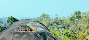 29312 karimkunnam20.png