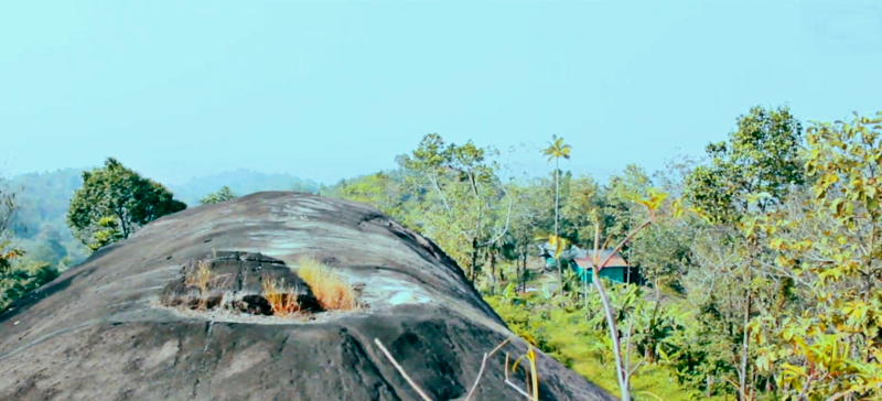 പ്രമാണം:29312 karimkunnam20.png