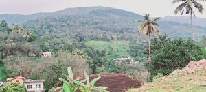 30046 My Village.jpg