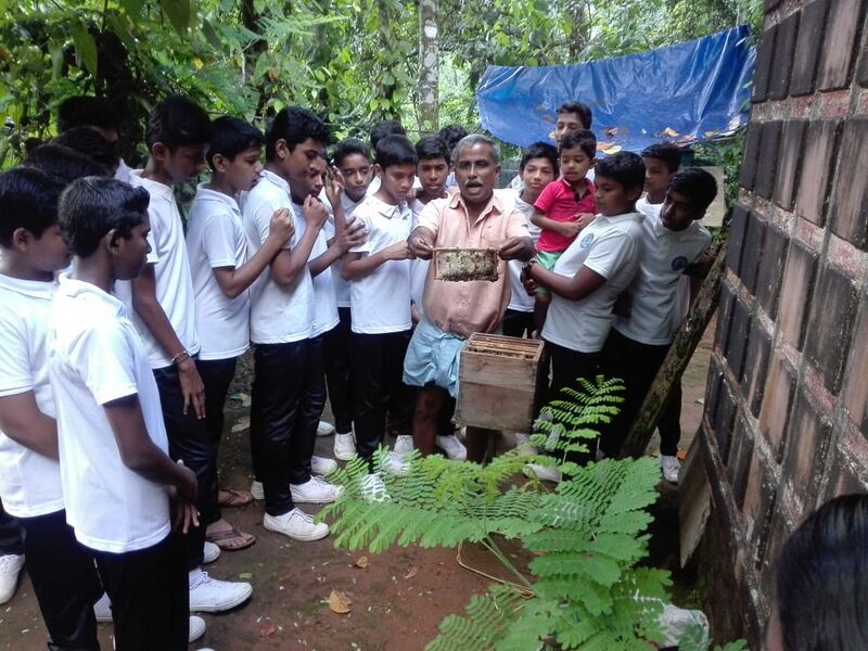 പ്രമാണം:32025 NATURE 2.jpg