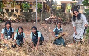 34013seed krishi25d.jpg