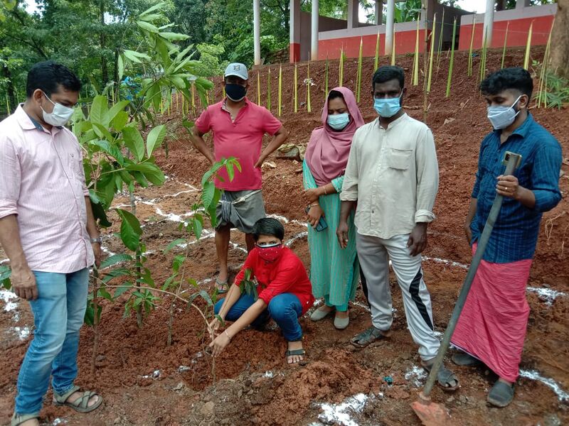 പ്രമാണം:48554 miyavaakki1.jpeg