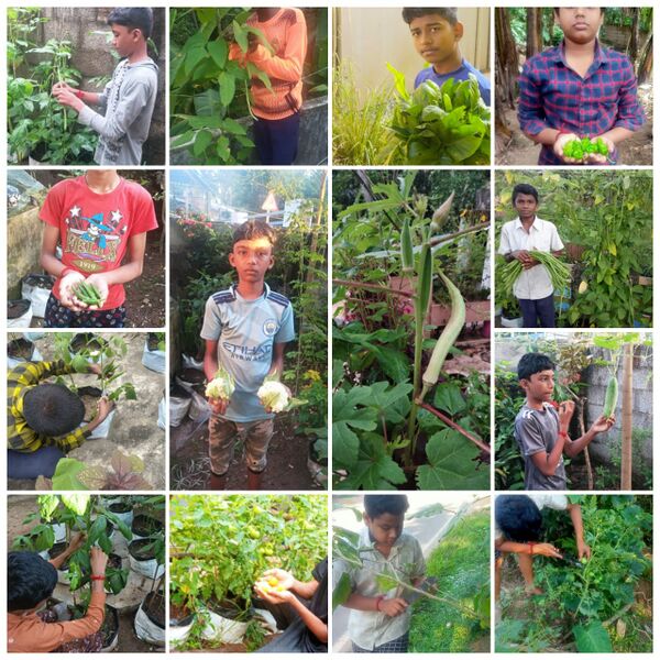 പ്രമാണം:ECO CLUB15.jpg