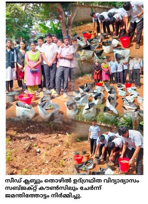 Jamanti tottam 2025.jpg