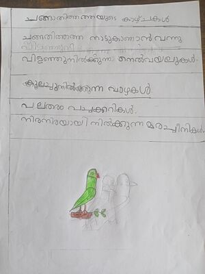 15231-WYD-KUNJ-AARON P ROBIN.jpg