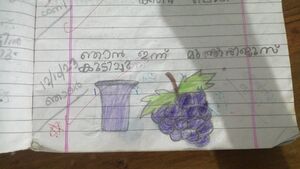 18621-MLP-KUNJ-MUHAMMAD MIRSHAD.jpeg