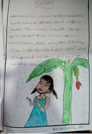 18665-MLP-KUNJ-AYISHA AMAL.jpeg