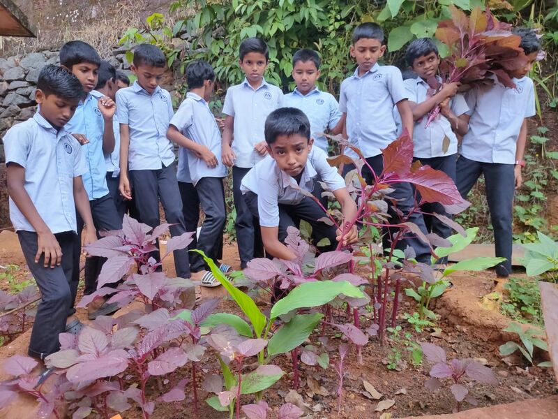 പ്രമാണം:18677 Nov1.jpg