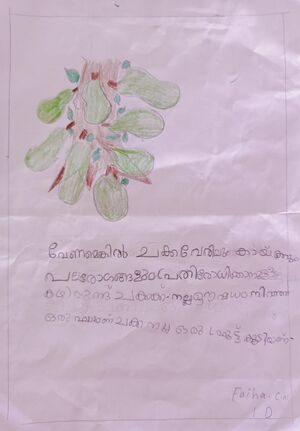 19776-MLP-KUNJ-FAIHA C N.jpg