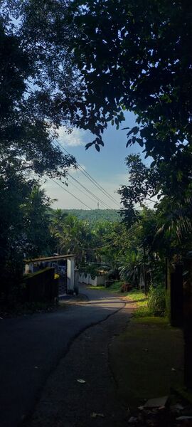 പ്രമാണം:19863 ente naad.jpg