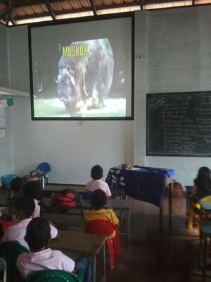 20641 standard class 3.jpeg