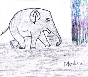 21306-PKD-KUNJ-MOULIKA.jpg