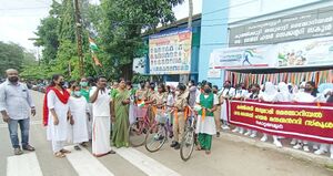 23013-maram nadal.jpeg