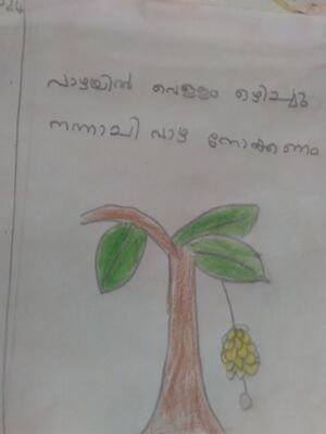 24341-TSR-KUNJ-Adharsh K S.jpeg