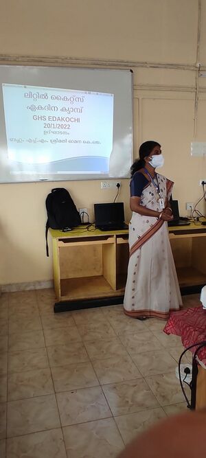 26090 little kites1.jpg