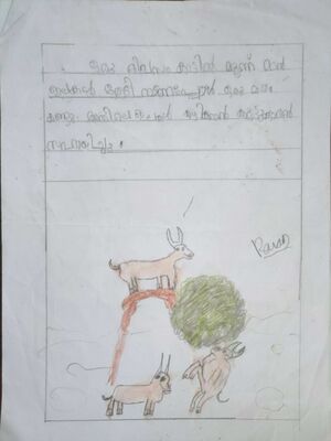 26534-EKM-KUNJ-MUHAMMED RAYAN4.jpg