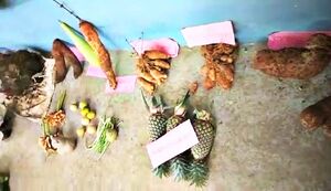 29312 karshikam18.jpeg