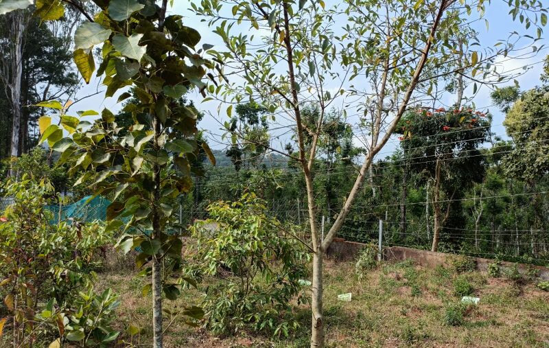 പ്രമാണം:30039 bio div4.jpeg