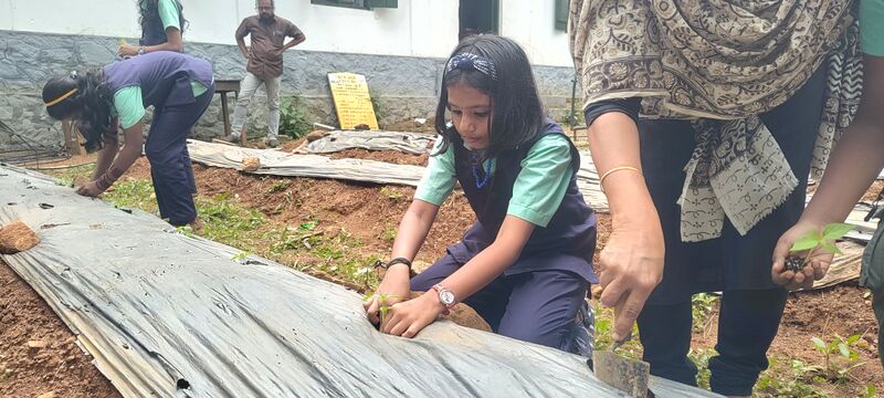 പ്രമാണം:31262-valavoor-farming 4.jpg