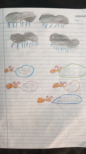 34331-ALP-KUNJ-NAFEESATHULMISIRIYA 1B.jpg