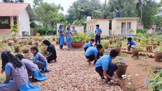 ജൈവവൈവിധ്യ പാർക്ക്