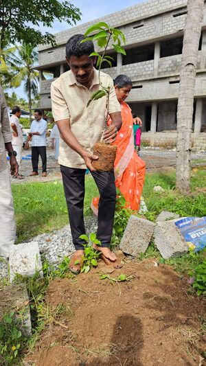 41077 Environmental day.jpg