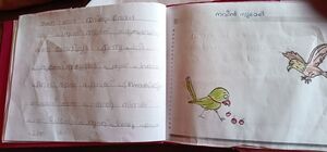 46207-ALP-KUNJ-NAVEEN SUMESH.jpg